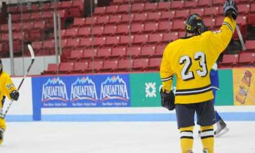 Hockey Downs Nichols, 6-1