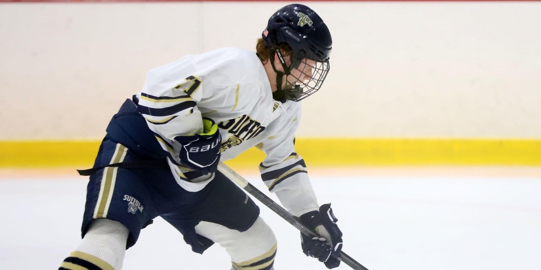 Men&rsquo;s Hockey Comes Up Short in Overtime to No. 12 UNE, 3-2