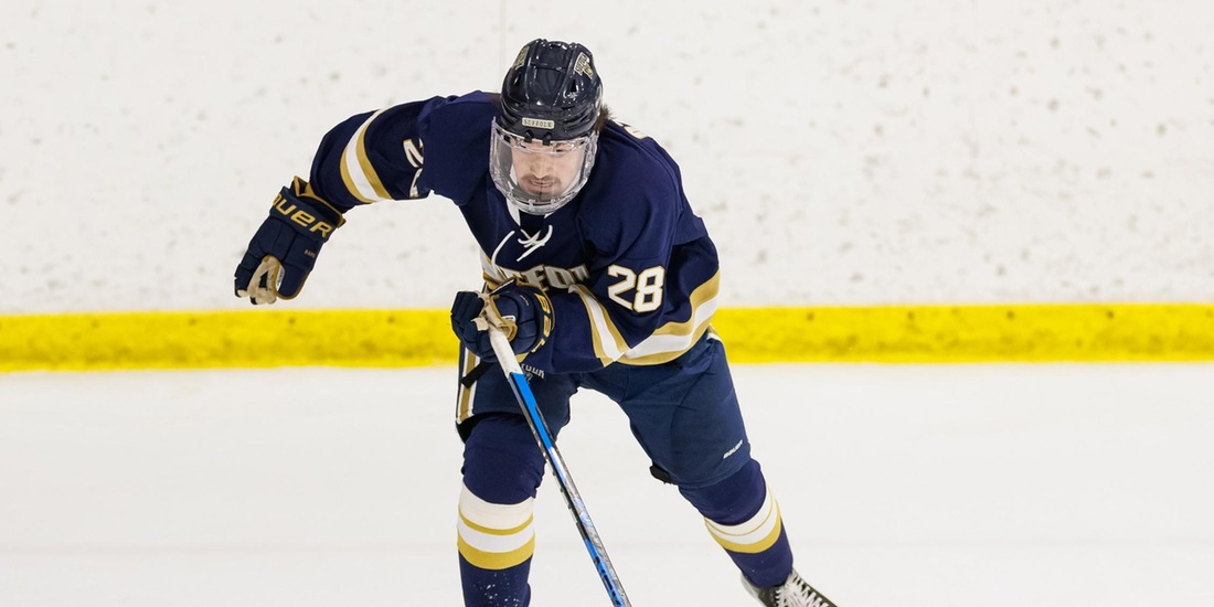 No. 14 Endicott Edges Men&rsquo;s Hockey in OT, 2-1