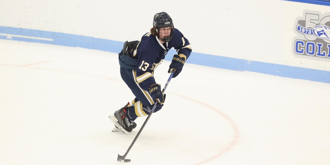 UNE Takes Down Men&rsquo;s Hockey 4-1