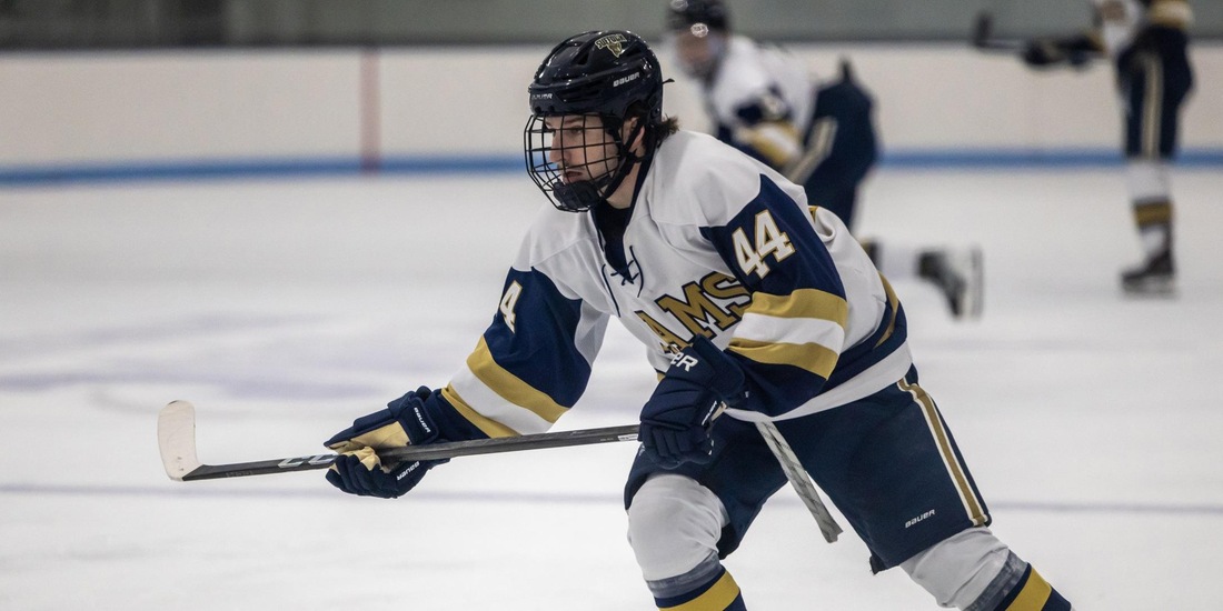 Power Plays Push No. 12 UNE by Men&rsquo;s Hockey, 4-2