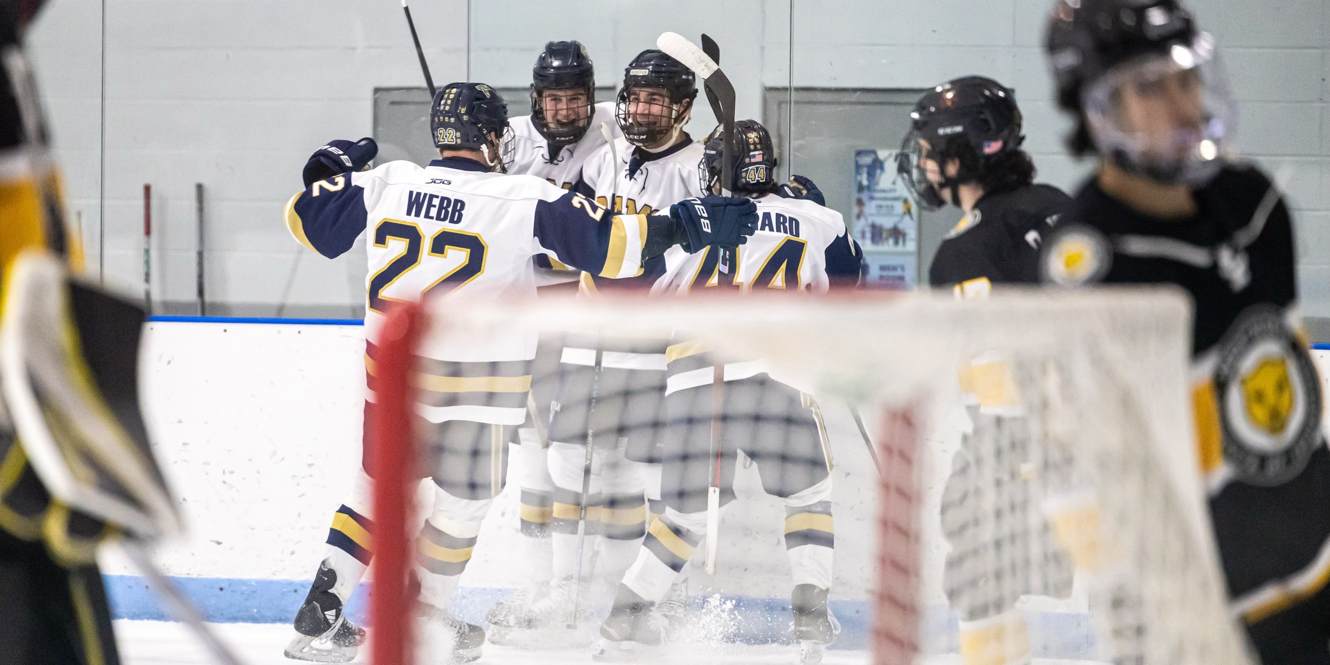 Men&rsquo;s Hockey Bests Wentworth, 3-2