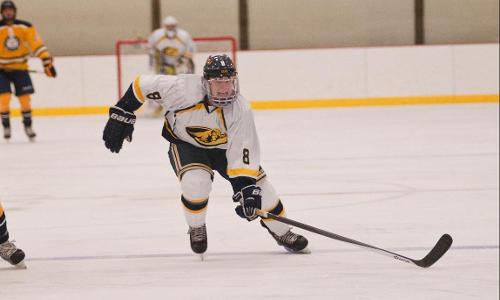 Hockey Falls on the Road to Nichols, 6-3