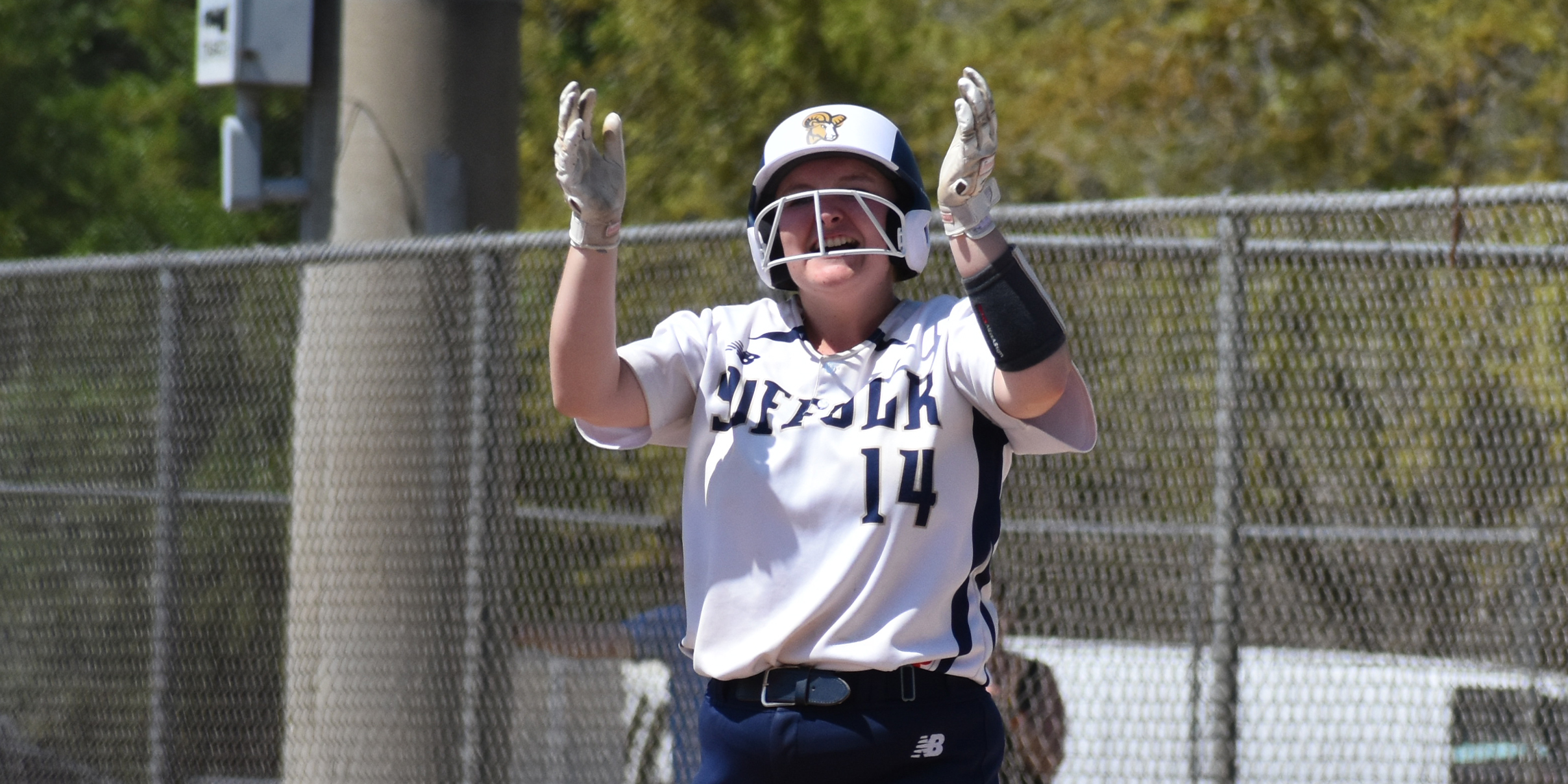 Softball Takes Thrilling Comeback Over Wheaton, 6-4