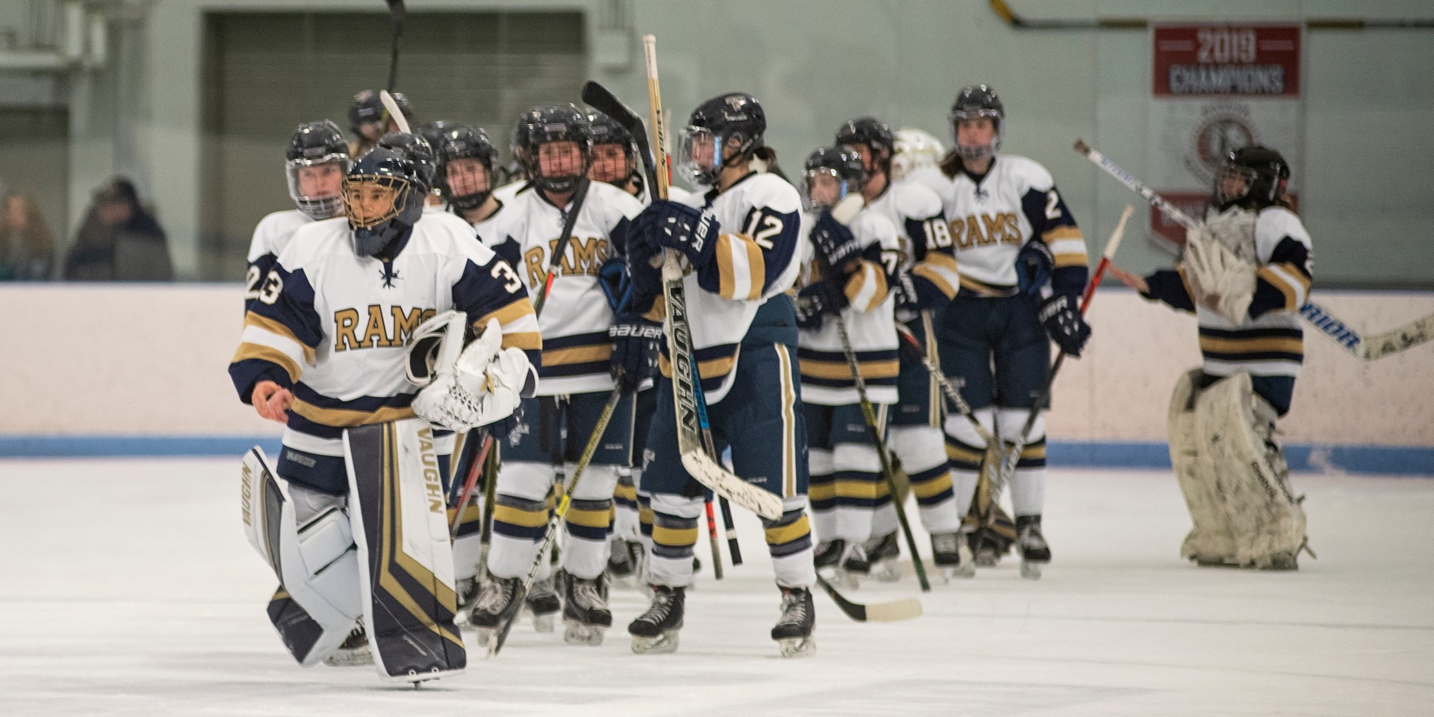 McLellan's Program-Best Saves Not Enough to Stop No. 3 Norwich, Women's Hockey Falls, 4-0