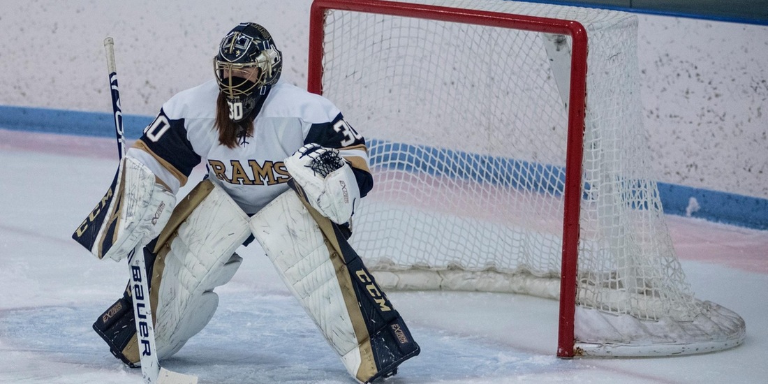 Women&rsquo;s Hockey Surprises No. 8 Endicott, 4-3