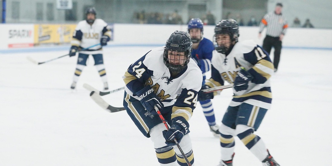 Women&rsquo;s Hockey Tops Western New England, 4-1