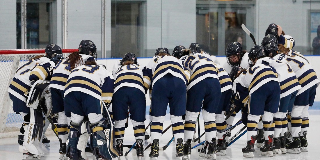Women&rsquo;s Hockey Home-and-Home with WNE Features Military Appreciation Game