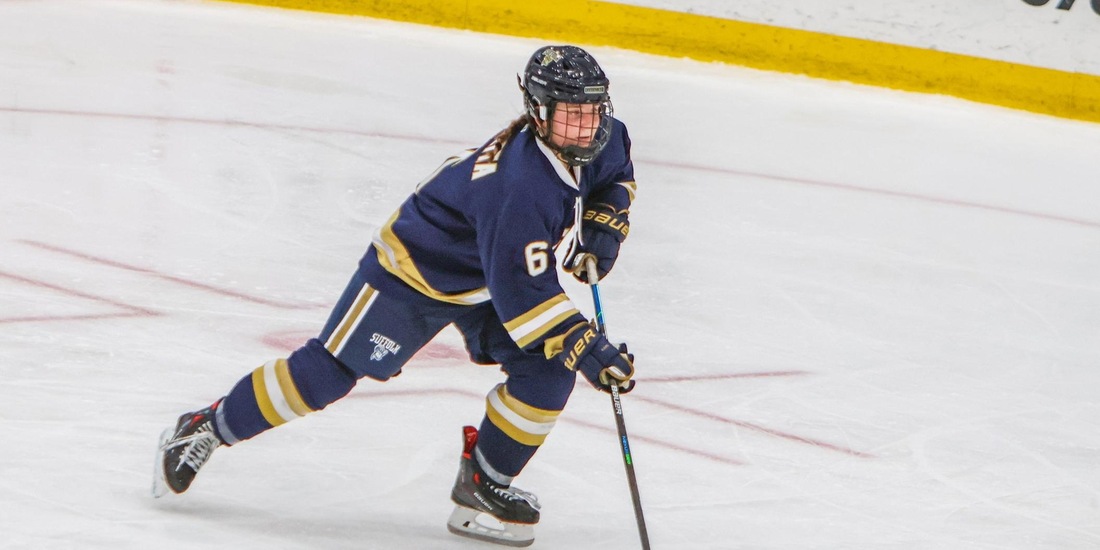 Women&rsquo;s Hockey to Battle UMass Boston in Codfish Bowl Consolation