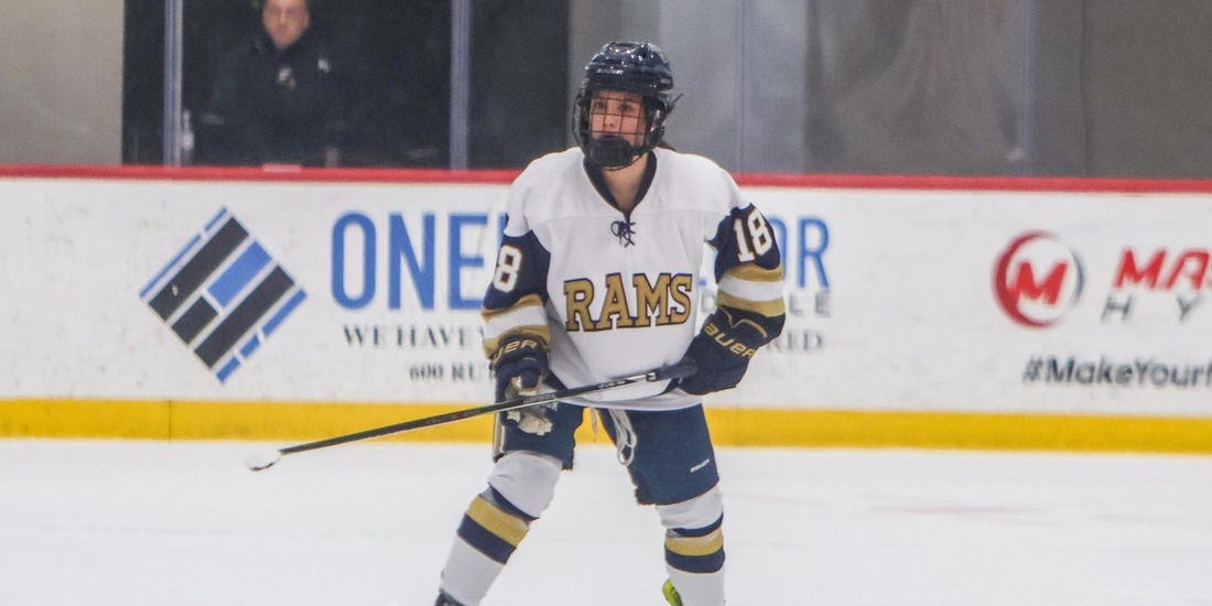 Endicott Up Next for Women&rsquo;s Hockey