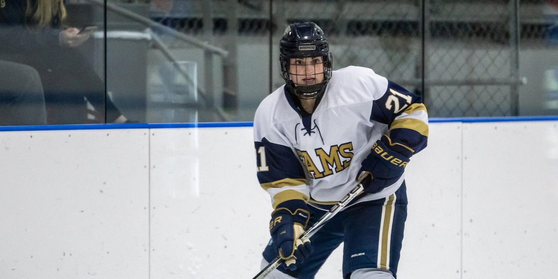 Women&rsquo;s Hockey Slips to No. 11 Endicott, 3-2