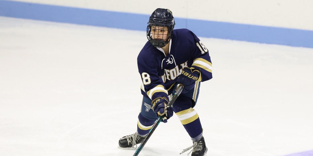 Women&rsquo;s Hockey Defeats WNE, 2-1