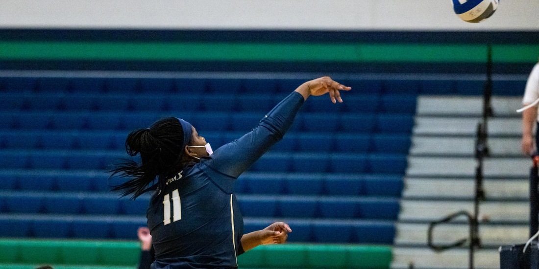 Skidmore Downs Volleyball in Three
