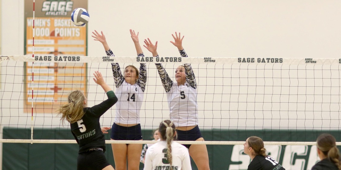 Volleyball Entertains Endicott in Regular-Season Finale Saturday