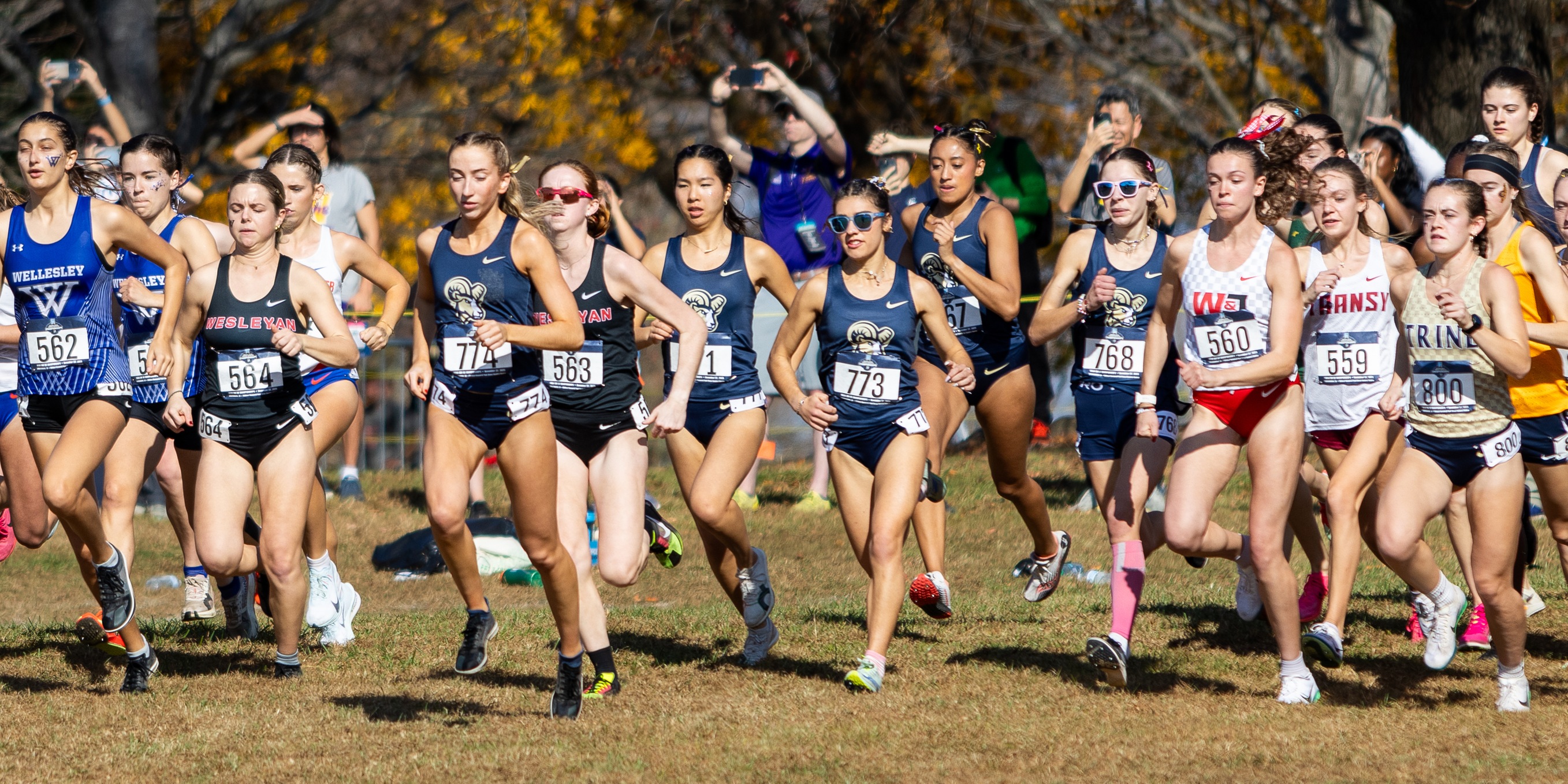 No. 30 Women&rsquo;s Cross Country Concludes Historic Season at NCAA Championships